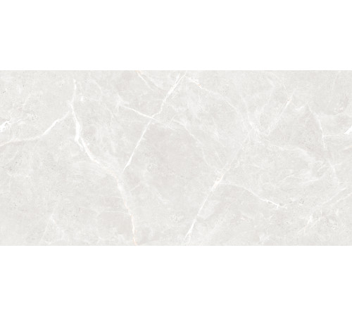 Stone Cool White Керамогранит белый 60х120 Полированный