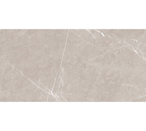 Pietra Grigio Керамогранит бежевый 60х120 матовый карвинг