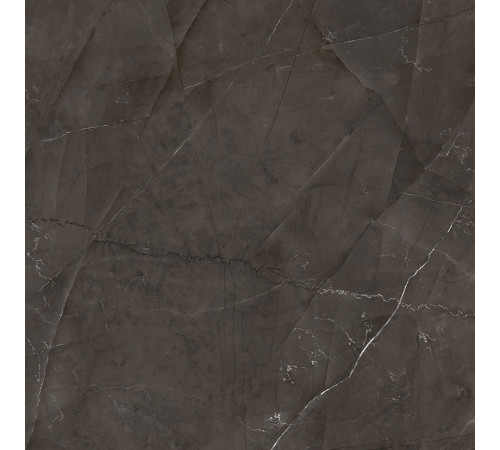 Timeless Marrone Керамогранит коричневый LP6060G0061R 59,5х59,5 матовый карвинг