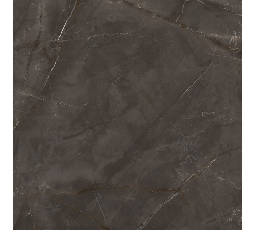 Timeless Marrone Керамогранит коричневый LP6060G0061R 59,5х59,5 матовый карвинг