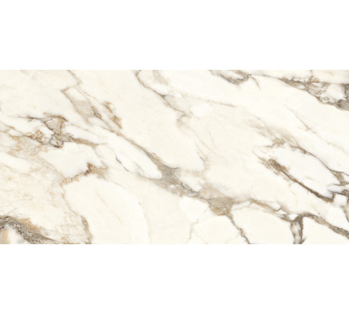 Calacatta Bronze Керамогранит белый полированный 60х120