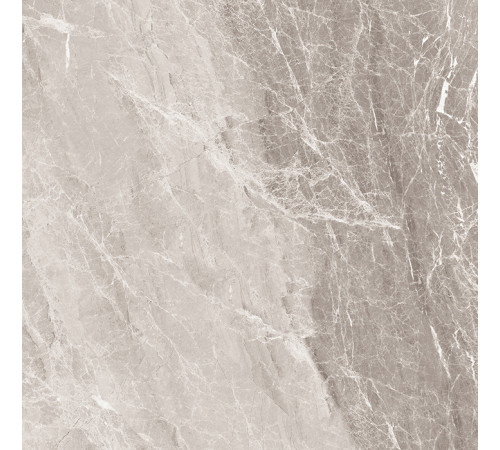 Nostalgic Silver Керамогранит 60х60 Полированный