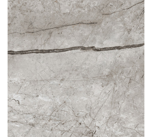 Obsidian Moss Gray Керамогранит 60х60 Полированный