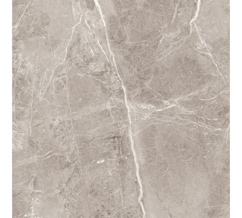 Obsidian Grey Керамогранит 60х60 Матовый