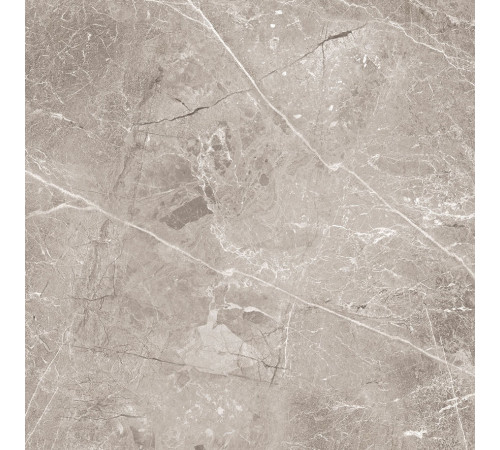 Obsidian Grey Керамогранит 60х60 Матовый