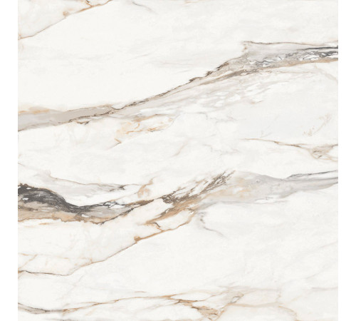 Statuario Porshe Керамогранит 60х60 Матовый