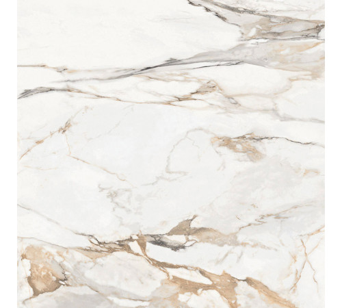 Statuario Porshe Керамогранит 60х60 Матовый