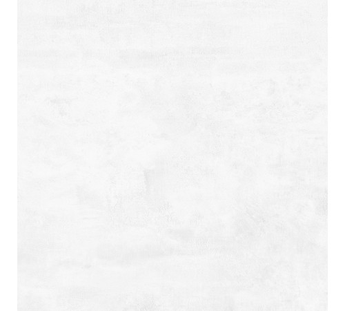 Flagman PRO Керамогранит светло-серый K952736R0001LPET 59,7х59,7 R10