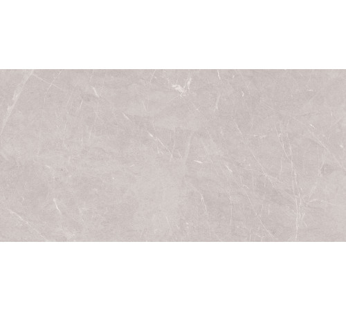 Stone Sovereign Керамогранит серый 60х120 Матовый