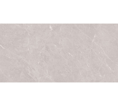 Stone Sovereign Керамогранит серый 60х120 Матовый