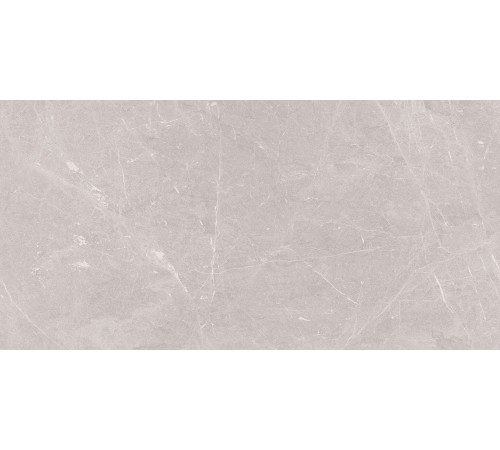 Stone Sovereign Керамогранит серый 60х120 Матовый