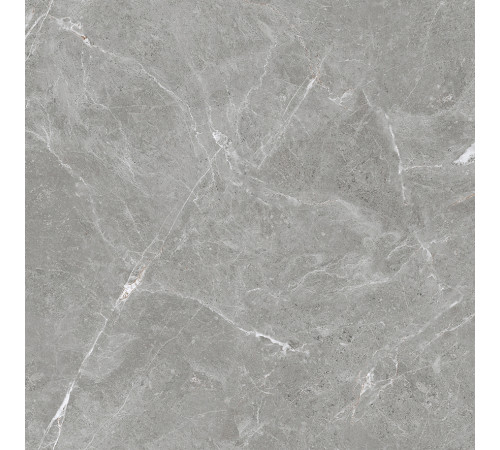 Stone Cool Grey Керамогранит серый 60х60 Матовый