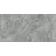 Regnum Grigio Керамогранит серый CR6012G0411R 59,5х119,1 матовый