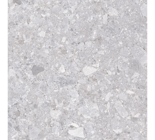 Matrix Керамогранит светло-серый K952738R0001LPET 59,7х59,7