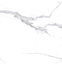 Calacatta Splendid Silver Керамогранит белый 60х60 матовый