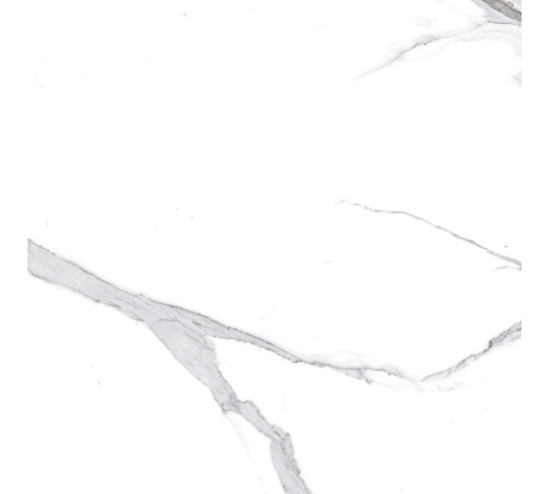 Calacatta Splendid Silver Керамогранит белый 60х60 Матовый