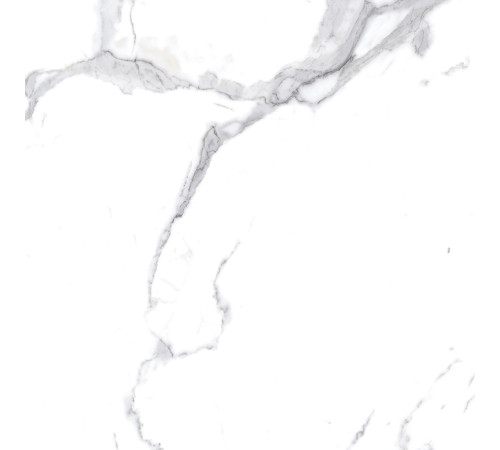 Calacatta Splendid Silver Керамогранит белый 60х60 Матовый