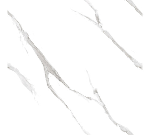 Calacatta Pleasant Керамогранит белый 60х60 Полированный
