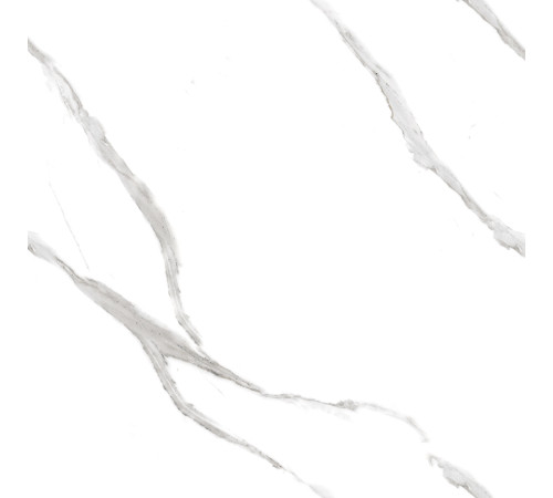 Calacatta Pleasant Керамогранит белый 60х60 Полированный