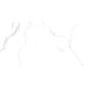 Statuario White PRO Керамогранит белый 60х120 матовый R10GR CB