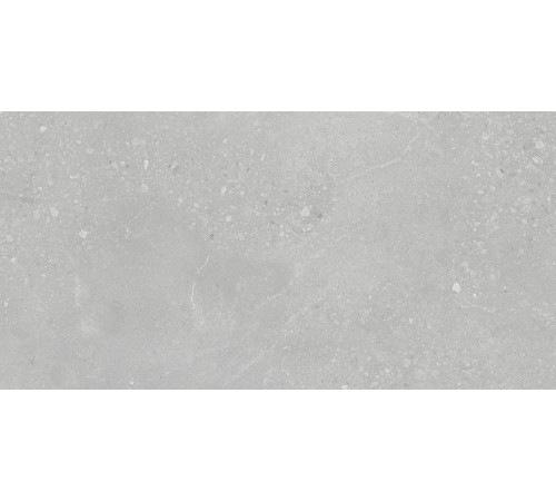 Nelson Керамогранит серый K948161LPR01LPER 59,7х119,7 лаппатированный