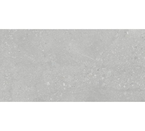 Nelson Керамогранит серый K948161LPR01LPER 59,7х119,7 лаппатированный