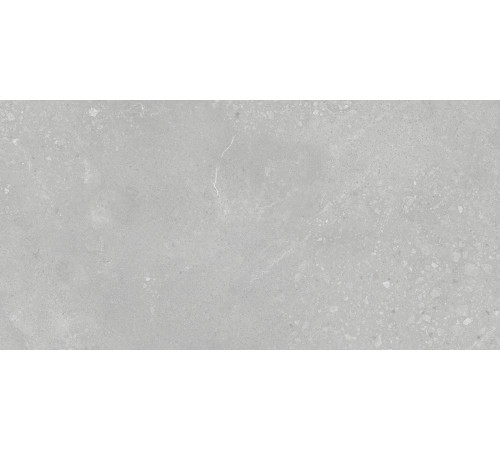 Nelson Керамогранит серый K948161LPR01LPER 59,7х119,7 лаппатированный