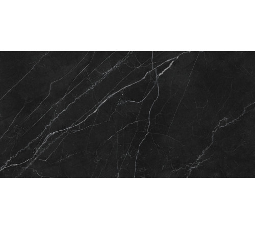Opera Nero Керамогранит чёрный LP6012G0201R 59,5х119,1 матовый карвинг
