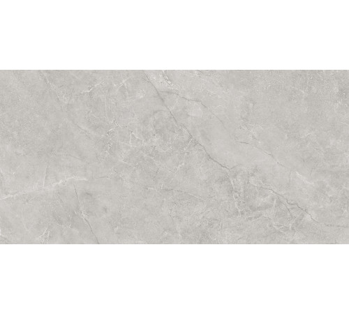 Pluto Silver Керамогранит светло-серый SG50005220R 59,5х119,1 матовый