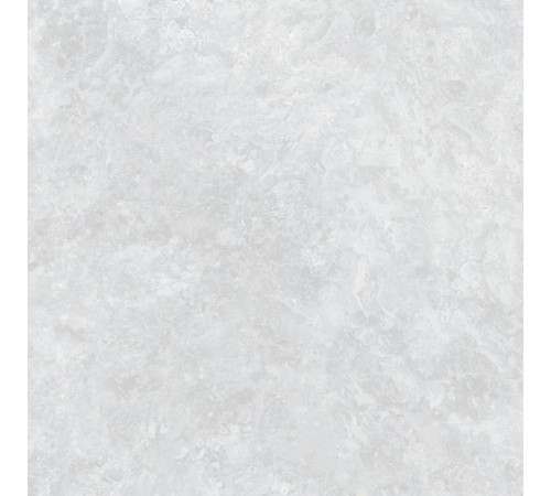 Ocean Fairy Керамогранит светло-серый 60х60 Полированный