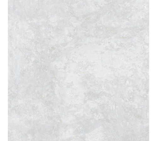 Ocean Fairy Керамогранит светло-серый 60х60 Полированный