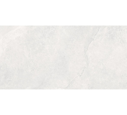 Overland Moon PRO Керамогранит светло-серый 60х120 матовый+гл.чернила R10 STR