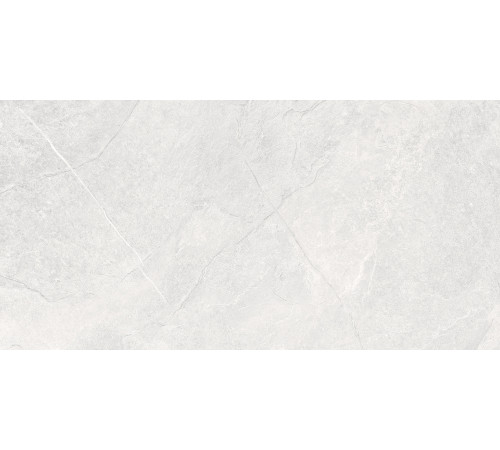 Overland Moon PRO Керамогранит светло-серый 60х120 матовый+гл.чернила R10 STR