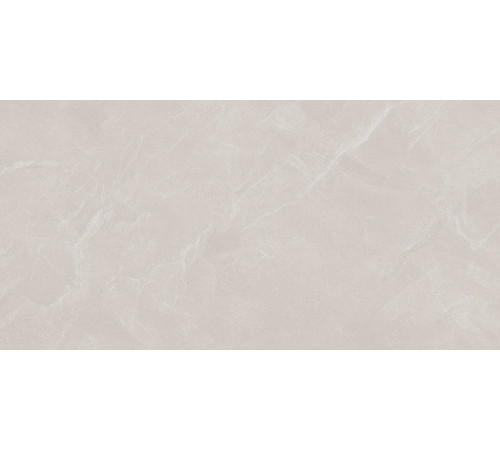 Archie Bianco Pro Керамогранит светло-серый 60х120 матовый R10GR STR
