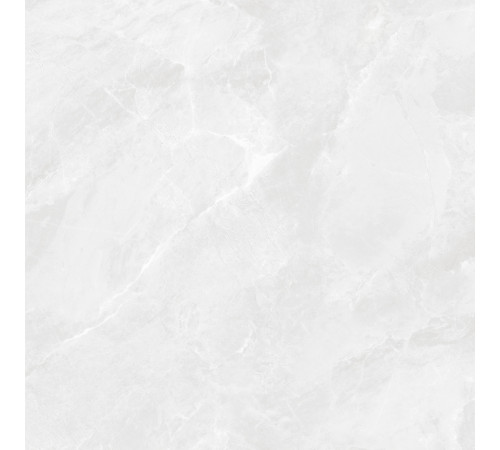 Regnum Bianco Керамогранит светло-серый CR6060G0391R 59,5х59,5 матовый