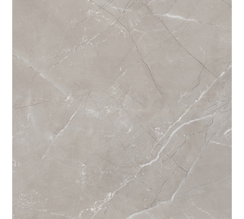 Vitrum Grigio Керамогранит серый 60x60 матовый