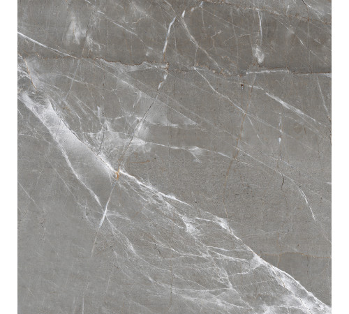 Patara Grigio Керамогранит I Серый 60x60 Полированный