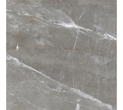 Patara Grigio Керамогранит I Серый 60x60 Полированный