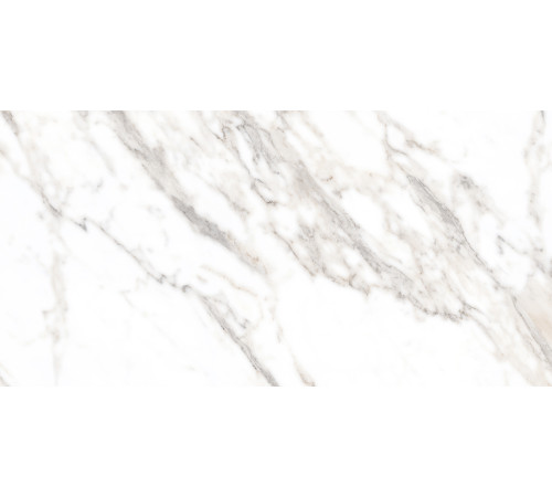 Salm Керамогранит 80х160 Полированный