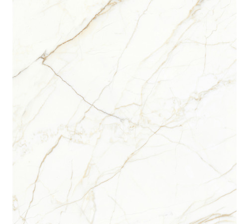 Europa Gold l Керамогранит белый 60x60 Матовый Карвинг