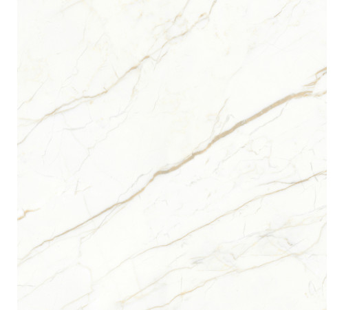 Europa Gold l Керамогранит белый 60x60 Матовый Карвинг