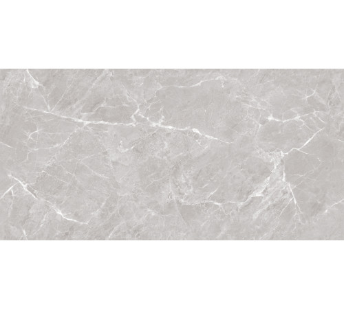 Mramor Chic Silver Керамогранит серый 60х120 Полированный
