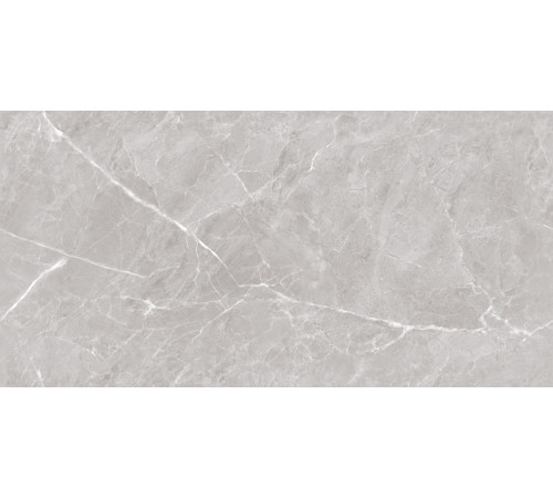 Mramor Chic Silver Керамогранит серый 60х120 Полированный