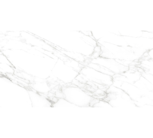 Calacatta Bianco PRO Керамогранит белый 60х120 матовый R10GR CB