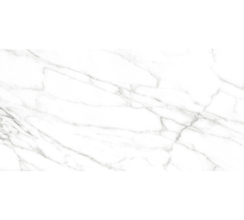 Calacatta Bianco PRO Керамогранит белый 60х120 матовый R10GR CB