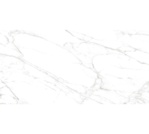 Calacatta Bianco PRO Керамогранит белый 60х120 матовый R10GR CB