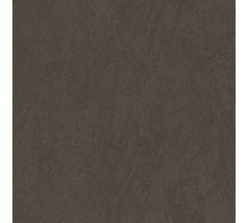 Sandstone Brown PRO Керамогранит коричневый 60х60 матовый R10GR