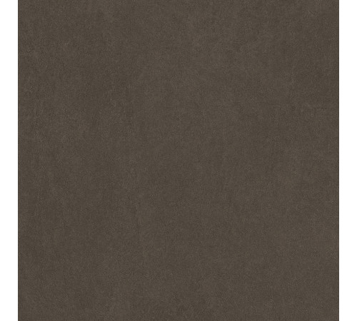 Sandstone Brown PRO Керамогранит коричневый 60х60 матовый R10GR