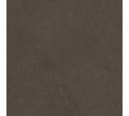 Sandstone Brown PRO Керамогранит коричневый 60х60 матовый R10GR