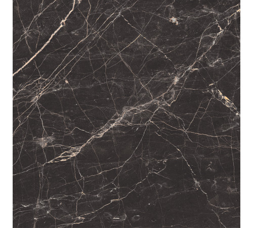 Black Arkadia Керамогранит черный полированный 60х60